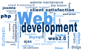 web development